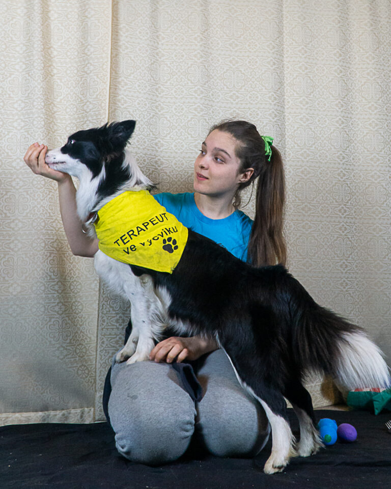 🎓Online kurz Prvn&iacute;mi krůčky do světa Canisterapie